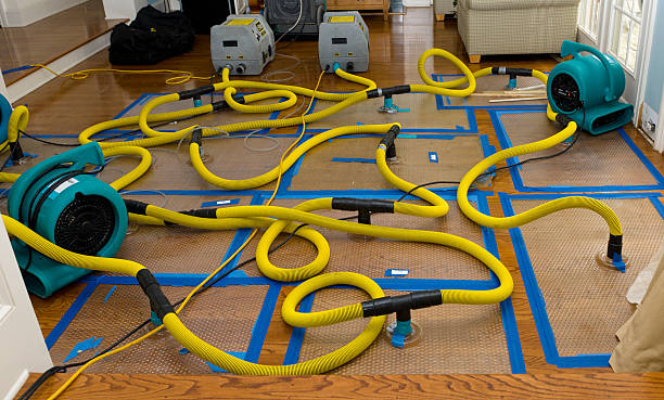 Professional Emergency Water Removal technician working in Summerfield, TX